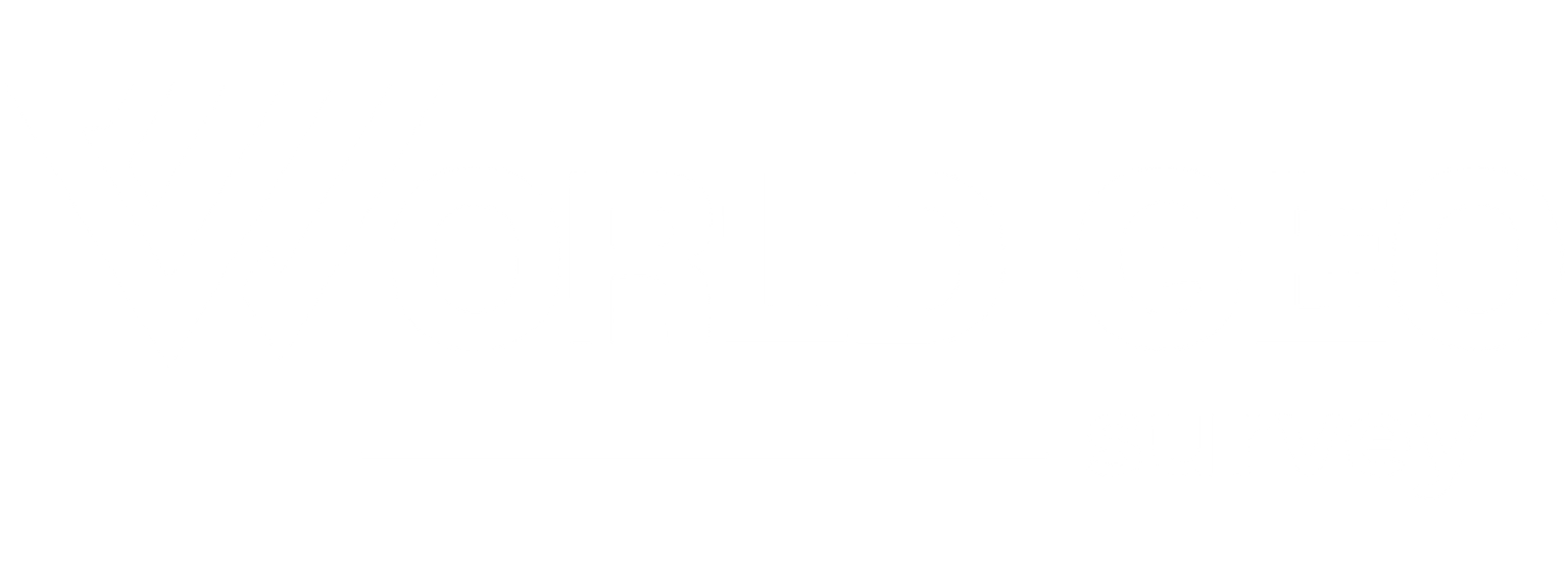 World Geo Survey